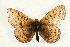 ( - EZ1008CNC)  @13 [ ] Unspecified (default): All Rights Reserved  Unspecified Unspecified