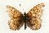  ( - EZ1009CNC)  @13 [ ] Unspecified (default): All Rights Reserved  Unspecified Unspecified