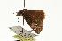  ( - EZ1066CNC)  @12 [ ] Unspecified (default): All Rights Reserved  Unspecified Unspecified
