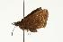  ( - EZ1069CNC)  @13 [ ] Unspecified (default): All Rights Reserved  Unspecified Unspecified