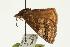  ( - EZ1071CNC)  @13 [ ] Unspecified (default): All Rights Reserved  Unspecified Unspecified