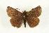  ( - EZ1073CNC)  @13 [ ] Unspecified (default): All Rights Reserved  Unspecified Unspecified