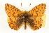 ( - EZ1086CNC)  @13 [ ] Unspecified (default): All Rights Reserved  Unspecified Unspecified