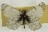  ( - EZ1171CNC)  @13 [ ] Unspecified (default): All Rights Reserved  Unspecified Unspecified