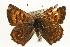  ( - EZ1243CNC)  @13 [ ] Unspecified (default): All Rights Reserved  Unspecified Unspecified