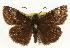  ( - EZ1333CNC)  @14 [ ] Unspecified (default): All Rights Reserved  Unspecified Unspecified
