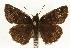 ( - EZ1336CNC)  @13 [ ] Unspecified (default): All Rights Reserved  Unspecified Unspecified