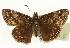  ( - EZ1342CNC)  @13 [ ] Unspecified (default): All Rights Reserved  Unspecified Unspecified