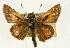  ( - EZ1359CNC)  @13 [ ] Unspecified (default): All Rights Reserved  Unspecified Unspecified