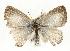  ( - rlayberry04)  @13 [ ] Unspecified (default): All Rights Reserved  Unspecified Unspecified