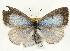 ( - rlayberry06)  @13 [ ] Unspecified (default): All Rights Reserved  Unspecified Unspecified