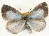  ( - rlayberry07)  @13 [ ] Unspecified (default): All Rights Reserved  Unspecified Unspecified