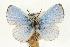  ( - rlayberry13)  @14 [ ] Unspecified (default): All Rights Reserved  Unspecified Unspecified