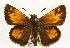  (Lon hobomok - EZ1377CNC)  @15 [ ] Unspecified (default): All Rights Reserved  Unspecified Unspecified