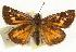  ( - EZ1382CNC)  @13 [ ] Unspecified (default): All Rights Reserved  Unspecified Unspecified