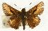  ( - EZ1385CNC)  @13 [ ] Unspecified (default): All Rights Reserved  Unspecified Unspecified