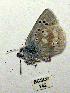  ( - BCSC142)  @12 [ ] Unspecified (default): All Rights Reserved  Unspecified Unspecified