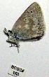  ( - BCSC158)  @12 [ ] Unspecified (default): All Rights Reserved  Unspecified Unspecified