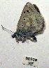  ( - BCSC167)  @12 [ ] Unspecified (default): All Rights Reserved  Unspecified Unspecified