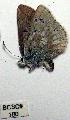  ( - BCSC180)  @12 [ ] Unspecified (default): All Rights Reserved  Unspecified Unspecified