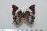  ( - BC-Basq1638)  @13 [ ] Unspecified (default): All Rights Reserved  Unspecified Unspecified
