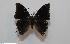  ( - BC-Basq1640)  @13 [ ] Unspecified (default): All Rights Reserved  Unspecified Unspecified