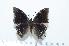  ( - BC-Basq1641)  @13 [ ] Unspecified (default): All Rights Reserved  Unspecified Unspecified