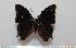  ( - BC-Basq1655)  @13 [ ] Unspecified (default): All Rights Reserved  Unspecified Unspecified