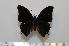  ( - BC-Basq1668)  @13 [ ] Unspecified (default): All Rights Reserved  Unspecified Unspecified