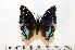  ( - BC-Basq1740)  @13 [ ] Unspecified (default): All Rights Reserved  Unspecified Unspecified