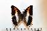  ( - BC-Basq1760)  @13 [ ] Unspecified (default): All Rights Reserved  Unspecified Unspecified