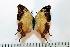  ( - BC-Basq1764)  @13 [ ] Unspecified (default): All Rights Reserved  Unspecified Unspecified