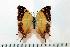  ( - BC-Basq1767)  @14 [ ] Unspecified (default): All Rights Reserved  Unspecified Unspecified
