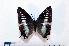  ( - BC-Basq1819)  @13 [ ] Unspecified (default): All Rights Reserved  Unspecified Unspecified