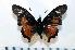  ( - BC-Basq1825)  @13 [ ] Unspecified (default): All Rights Reserved  Unspecified Unspecified