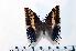  ( - BC-Basq1857)  @13 [ ] Unspecified (default): All Rights Reserved  Unspecified Unspecified