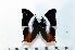  ( - BC-Basq1892)  @13 [ ] Unspecified (default): All Rights Reserved  Unspecified Unspecified