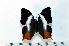  ( - BC-Basq1893)  @13 [ ] Unspecified (default): All Rights Reserved  Unspecified Unspecified