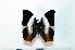  ( - BC-Basq1894)  @13 [ ] Unspecified (default): All Rights Reserved  Unspecified Unspecified