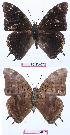 ( - BC-EV0570)  @13 [ ] Unspecified (default): All Rights Reserved  Unspecified Unspecified