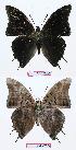  ( - BC-EV0574)  @13 [ ] Unspecified (default): All Rights Reserved  Unspecified Unspecified