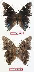  ( - BC-EV0602)  @12 [ ] Unspecified (default): All Rights Reserved  Unspecified Unspecified