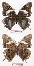  ( - BC-EV0620)  @13 [ ] Unspecified (default): All Rights Reserved  Unspecified Unspecified