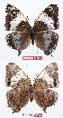  ( - BC-EV0690)  @13 [ ] Unspecified (default): All Rights Reserved  Unspecified Unspecified