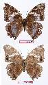  ( - BC-EV0693)  @13 [ ] Unspecified (default): All Rights Reserved  Unspecified Unspecified