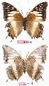  ( - BC-EV0724)  @13 [ ] Unspecified (default): All Rights Reserved  Unspecified Unspecified