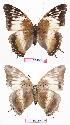  ( - BC-EV0725)  @13 [ ] Unspecified (default): All Rights Reserved  Unspecified Unspecified