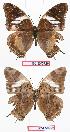  ( - BC-EV0726)  @13 [ ] Unspecified (default): All Rights Reserved  Unspecified Unspecified