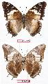  ( - BC-EV0730)  @11 [ ] Unspecified (default): All Rights Reserved  Unspecified Unspecified