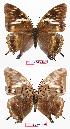  ( - BC-EV0737)  @13 [ ] Unspecified (default): All Rights Reserved  Unspecified Unspecified